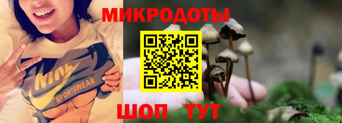 Галлюциногенные грибы мицелий  Галлюциногенные грибы Psilocybe  Вход с VPN  Владивосток 
